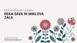 Reka Sava in Miklova Zala | Občina Dol pri Ljubljani