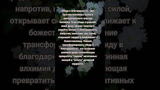 Трансформация обиды в благодарность.