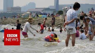 Japan heatwave declared natural disaster  - BBC News