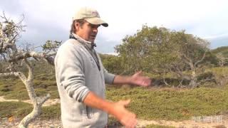 Ecosystems of California: Fort Ord Chaparral