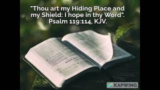 God is my Hiding Place and my Shield. Psalm 119:114, KJV.