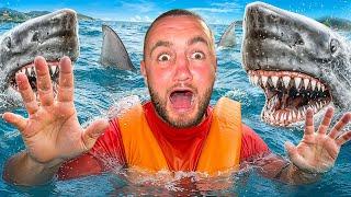 Swimming With Sharks In Fiji