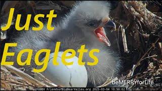  FOBBV Just The Eaglets March 5, 2025