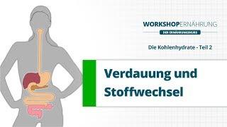 KOHLENHYDRATE (2/6): Verdauung, Stoffwechsel und das Hormon Insulin | Workshop Ernährung