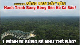 Khám Phá Rừng Nam Cát Tiên, Hành Trình Băng Rừng Đến Hồ Cá Sấu, 1 Mình Đi Rừng Sẽ Như Thế Nào?