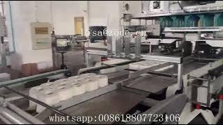 ZODE FEXIK PE LDPE Film Toilet Tissue Paper Rolls Packaging Converting Machine