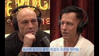 원자력이 몰락한 진짜 이유 (체르노빌이 아니라 '이 나라' 때문이었다), 트럼프의 오른팔이자 팔란티어 창립자 피터틸(with 조 로건)