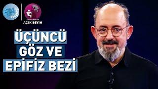 Ruh ile Yaşam Arasındaki Bağ "Epifiz Bezi" @ProfDrSinanCananileAcikBeyin