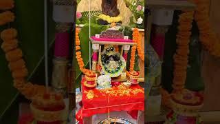 Boldo Radhe Radhe