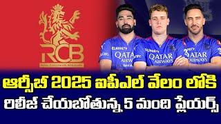 RCB Will Release 5 Star Players Into 2025 IPL Auction | Telugu Buzz