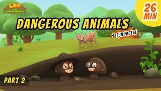 Dangerous Animals (Part 2/3) - Animals Stories for Kids | Educational | Leo the Wildlife Ranger