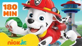 Paw Patrol | ¡Los rescates más osados de Marshall de PAW Patrol!  3 horas | Nick Jr. en Español