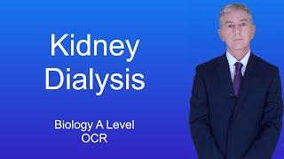 A Level Biology Revision (Year 13) "Kidney Dialysis"