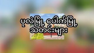 ပုလဲ မြို​့ ပေါက်မြို့နယ် သတင်းများ..ပေါက်ကိုယ်တော်