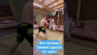 Стало понятно почему Тамаев сделал тот жест) #тамаев #попмма