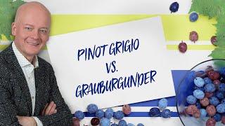 Pinot Grigio vs  Grauburgunder -  ebrosia Weinakademie St 2 Folge 4