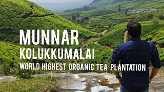 Munnar Amazing Tea Plantation |  World Highest Organic Tea Plantation | Off Road Trip | Kolukkumalai