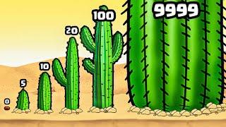 Growing THE BIGGEST CACTUS