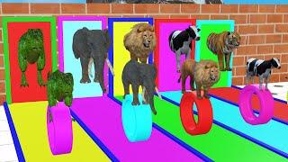 Gorilla Elephant Lion Buffalo Hippo Safari Adventure - 3D Animal Exploration Game