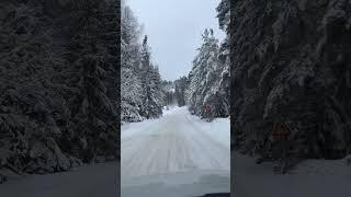 SWEDEN SNOW ROADTRIP!! #shorts