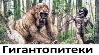 Гигантопитеки