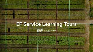 Service Learning Activities on Tour | EF Educational Tours