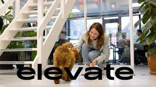 Elevate Digital - Nr. 1 Full Service Digital Agency