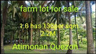 farm lot for sale 1.8has 130/sqm. Atimonan Quezon