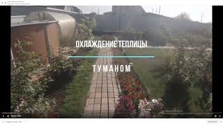 Охлаждение теплицы туманом