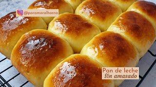 Pan de leche sin amasado - con harina común - tiernos y esponjosos