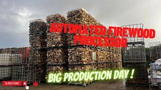 Day 127 - Fuelwood Factory POV Big Day Processing!