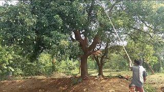my second vlogs |sambari tribe vlog|second vlog