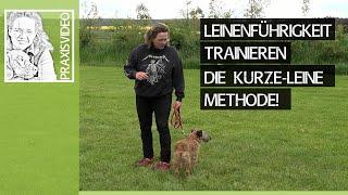 Leinenführigkeit beim Hund trainieren ️ Die kurze Leine Methode! ️ Praxisvideo ️