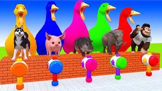 5 Giant Duck, Monkey, Piglet, chicken, dog, dinosaur, Sheep, Transfiguration funny animal 2024