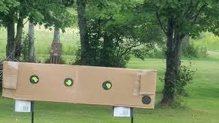 Gamo swarm Magnum. 22