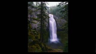 nature best