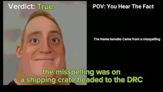 Correcting MIBU Fact Videos | Part 1
