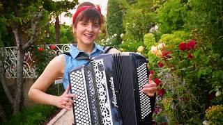 Accordion