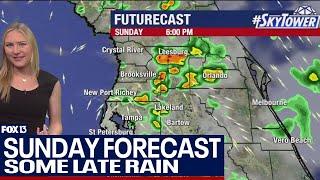 Tampa weather | Hot with evening storms