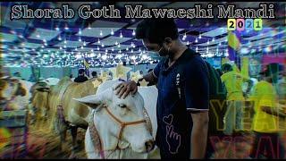 SHORAB GOTH MAWAESHI MANDI 2021 || VLOG || MAKVLOG