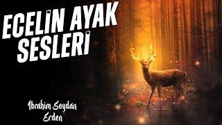 BEKLENEN HABERCİN ÇOKTAN GELDİ | HİÇ FARKETTİN Mİ ?