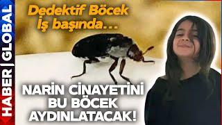 Narin Cinayetinde Dedektif Böcekler İş Başında! Cinayeti Bu Böcekler Aydınlatacak!