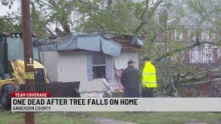 1 dead after tree falls on home in Anderson