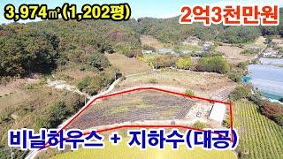 [횡성토지매매] 2차선 접근성 좋은~ 계획관리 남향토지~ 비닐하우스+지하수(대공)까지~ 답(전) 3,974㎡(1,202평)~ 2억3천만원