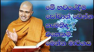 Walpola Gothama Thero සිත් නෙත් අසපුව​ 2022 12 03