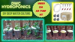 Easy Build DWC Hydroponic System (Deep Water Culture)