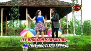 Arya Satria Feat. Erin Sabrina - Tresno Marang Rondo | Dangdut (Official Music Video)