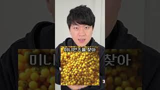 이걸 찾는다구? -진전마-