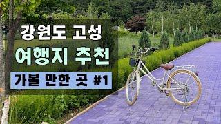 강원도 고성 가볼만한 여행지 추천 1편 [통일전망대, 화진포관광단지, 라벤더팜, 건봉사]