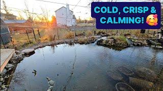 ️ CALM, CRISP AND COLD MORNING!!  #calm #crisp #cold #ponds #morning